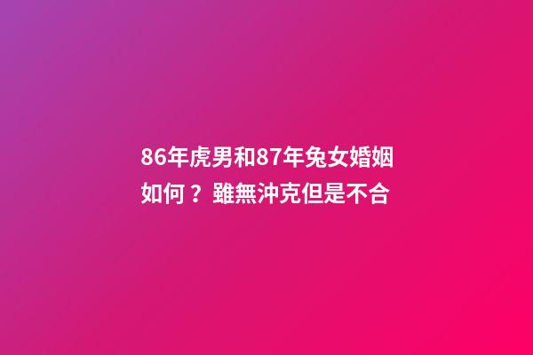 86年虎男和87年兔女婚姻如何？雖無沖克但是不合